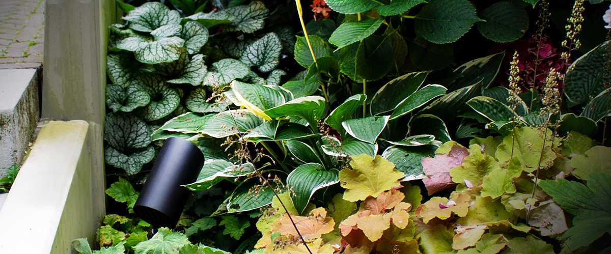 Außenbeleuchtung im Garten