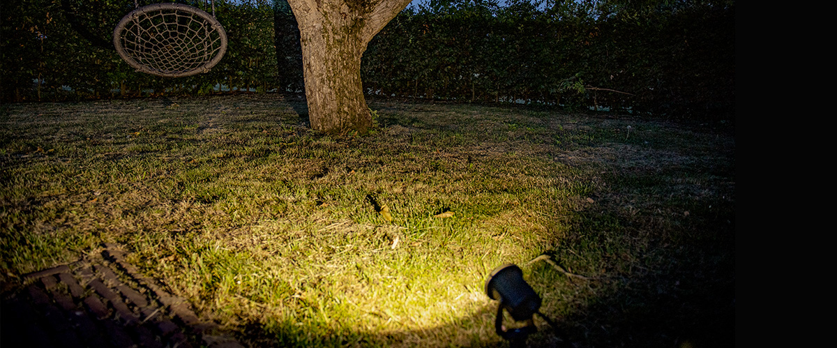 Baum wird vom Erdspießstrahler beleuchtet