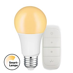 E27 Smart LED-Lampe Dimmerset tint A60 9W 2700K dimmbar mit Fernbedienung
